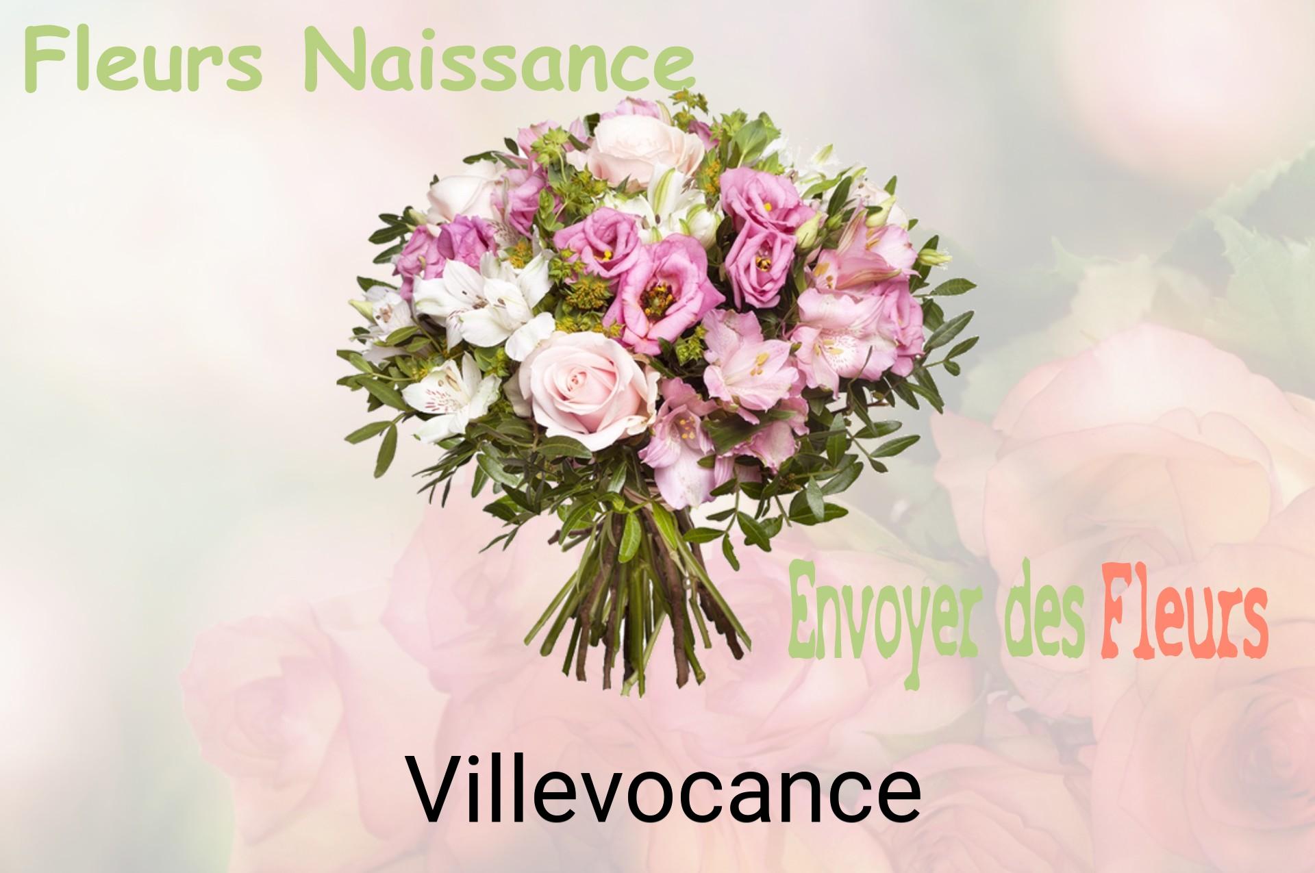 Bouquet de fleurs de naissance livré à Villevocance