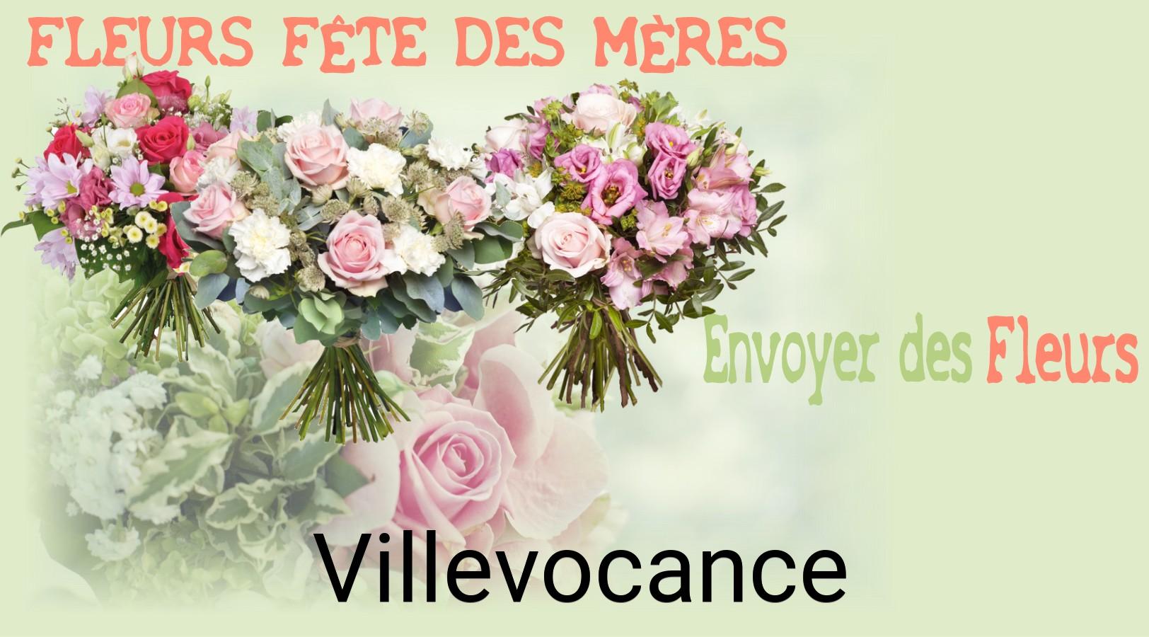 Bouquet de Fête des Mères livré à Villevocance